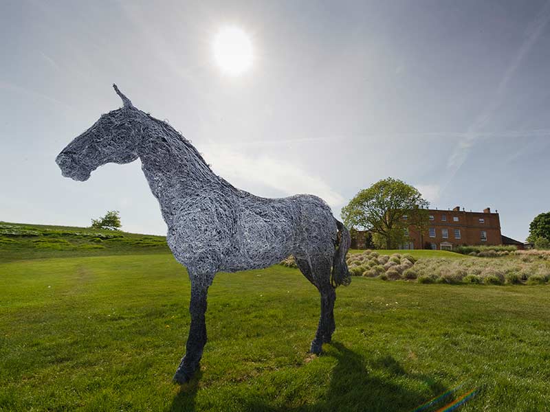 art purchases TILL-Grove-Horse