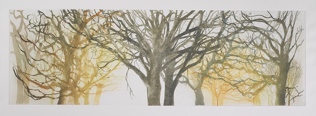 Susan Andreae - Treeforms 1