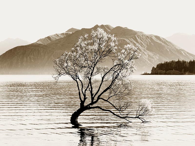 Stuart Redler - Wanaka-th