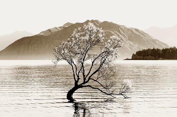 Stuart Redler - Wanaka