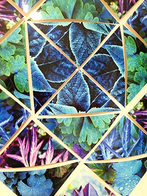 Devonshire House Artwork
