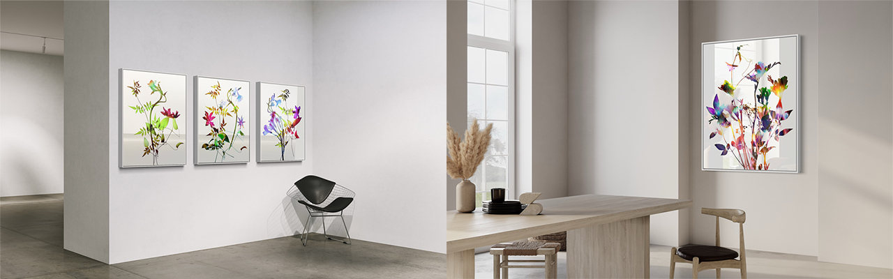 Set of Floral images by Allan Forsyth in minimalist interior