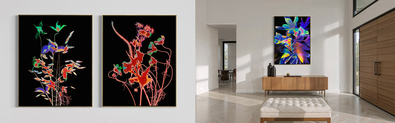 Installed Decode images by Allan Forsyth in a minimalist interior