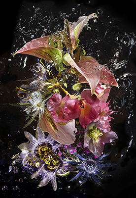 Aqua Odyssey No 5 - Flowers from the Grange 10235 by Allan Forsyth