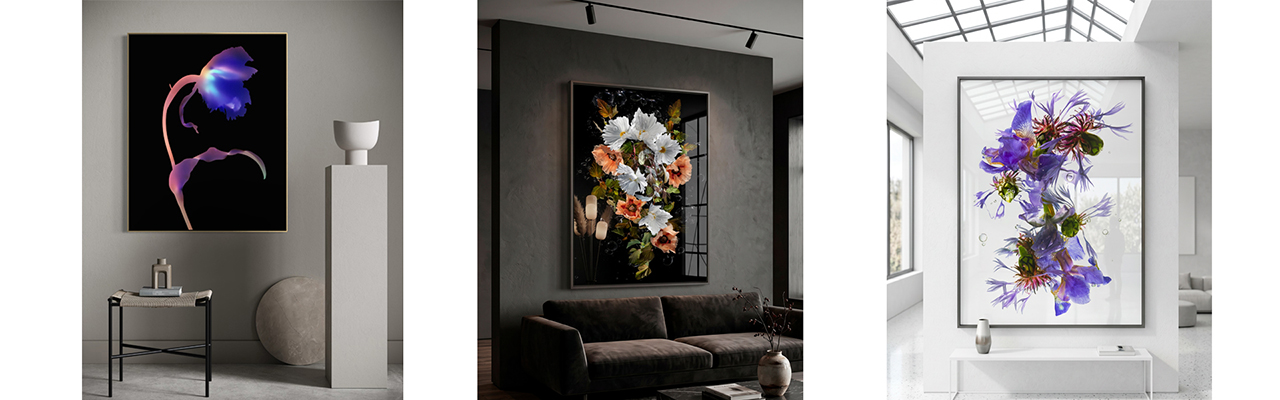 Installed Floral images by Allan Forsyth