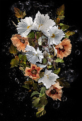 Ishga No 2 - Flowers from the Grange 10268 by Allan Forsyth. Floral arrangement on a dark background.